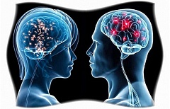 Тест: У вас мужской или женский мозг?