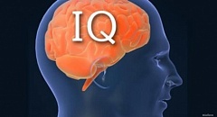 Тест на IQ для детей 15 лет